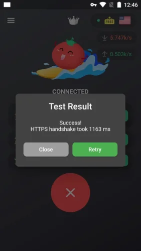 Tomato VPN 2