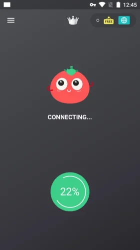 Tomato VPN 1