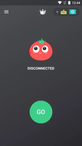 Tomato VPN 4